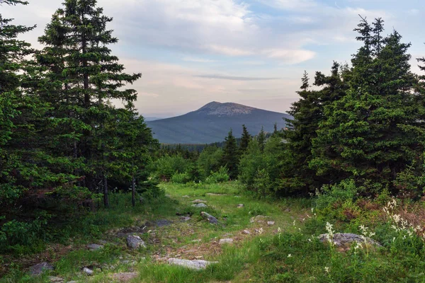 Paths between forests and mountains of the Southern Urals. Summer in the mountains. View from the mountains. The nature of the Southern Urals. — Stock Photo, Image