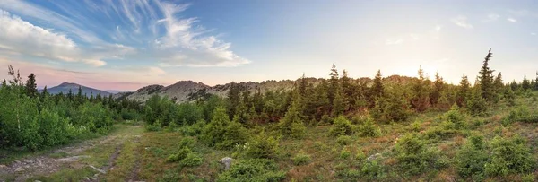 Paden tussen bossen en bergen van het zuiden van de Oeral. Zomer in de bergen. Uitzicht vanaf de bergen. De aard van de zuidelijke Oeral. — Stockfoto
