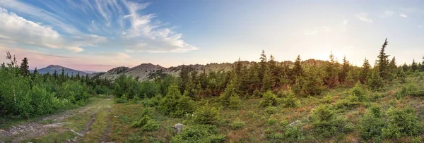 Stigar mellan skogarna och bergen i södra Ural. Sommar i fjällen. Visa från bergen. Arten av södra Ural. — Stockfoto