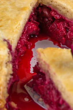 Taze ev yapımı kirazlı turta. Sulu bir dilim vişneli pasta. Dilim kek hamuru kiraz ile. Makro.