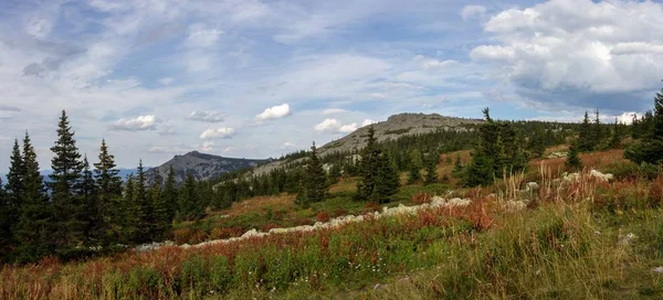 Naturen av södra Ural. Bergen. Iremel. Sommaren i bergen i södra Ural. — Stockfoto