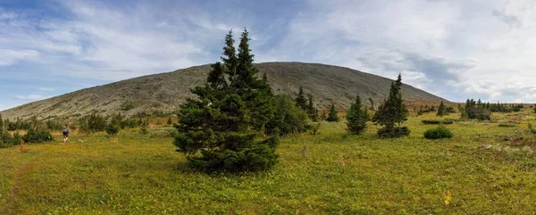 南ウラル山脈の自然。山。Iremel。南ウラル山脈の夏. — ストック写真