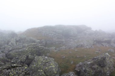 Kasvetli dağ manzarası. Sis dağlarda, kasvet dağlardan aşağı gelir. Dağ plaser siste.