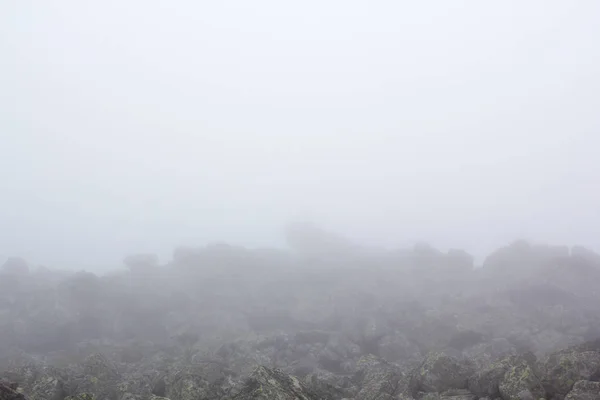 Düstere Berglandschaft. Nebel in den Bergen, die Düsternis kommt von den Bergen herunter. Bergsteiger im Nebel. — Stockfoto