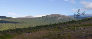 Dağlarda yaz. Dağ orman üzerinde. Dağların panoramik görünüm.