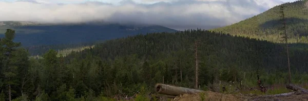 Лето в горах. Горные хребты над лесом. Панорамный вид на горы . — стоковое фото