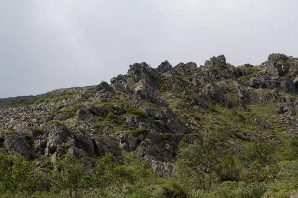 Panoramik Dağları ve kayalıklarla, Güney Ural. Dağlarda yaz.