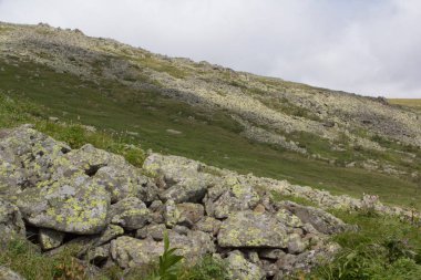 Panoramik Dağları ve kayalıklarla, Güney Ural. Dağlarda yaz. Seyahat.