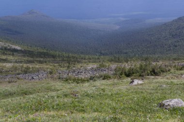 Panoramik Dağları ve kayalıklarla, Güney Ural. Dağlarda yaz. Seyahat.