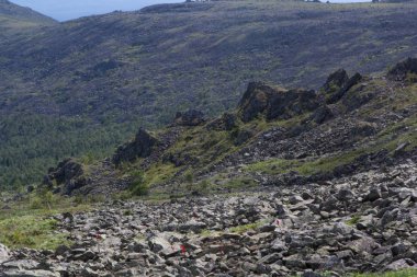 Panoramik Dağları ve kayalıklarla, Güney Ural. Dağlarda yaz. Seyahat.
