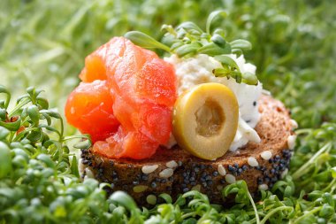 Mikro-yeşil koyu bir arka plan ile somon ve peynir peynirli kanepe.