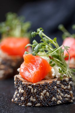 Karanlık bir arka plan üzerine somon ve peynir peynirli kanepe.