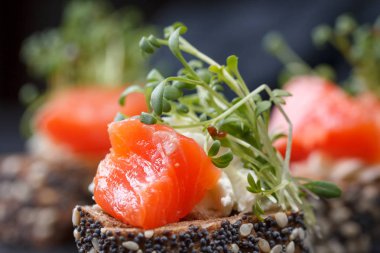 Karanlık bir arka plan üzerine somon ve peynir peynirli kanepe.