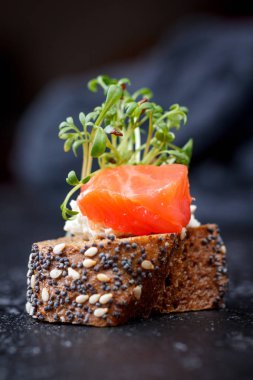 Karanlık bir arka plan üzerine somon ve peynir peynirli kanepe.