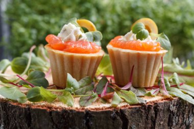 Somon, süzme peynir, zeytin karanlık bir arka plan üzerinde mikro yeşillikleri ile lezzetli kanepe. Soğuk meze.