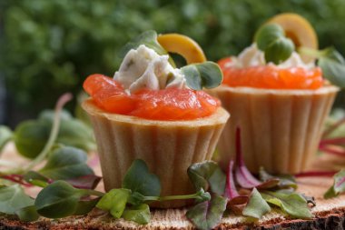 Somon, süzme peynir, zeytin karanlık bir arka plan üzerinde mikro yeşillikleri ile lezzetli kanepe. Soğuk meze.