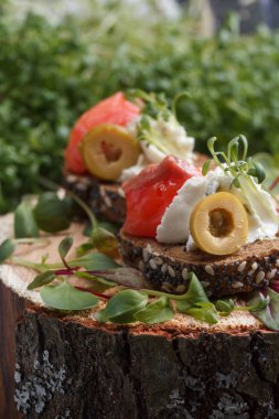 Somon, süzme peynir, zeytin karanlık bir arka plan üzerinde mikro yeşillikleri ile lezzetli kanepe. Soğuk meze.