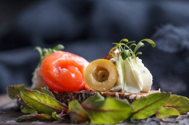 Somon, süzme peynir, zeytin karanlık bir arka plan üzerinde mikro yeşillikleri ile lezzetli kanepe. Soğuk meze.