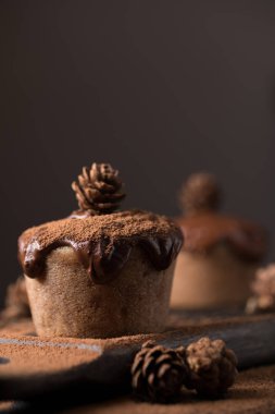 Çikolatalı kek, koyu ahşap arka plan üzerinde küçük bir koni ile dekore edilmiştir. Cupcakes koyu çikolata ve kakao tozu ile dökülür. Olağandışı dekorasyon ile cupcakes. Düşük anahtar
