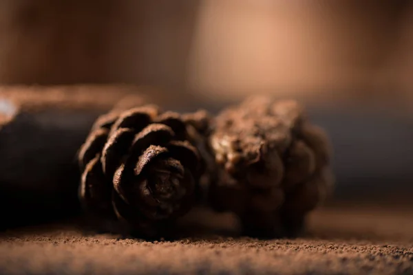 Cône saupoudré de cacao en poudre. Macro . — Photo