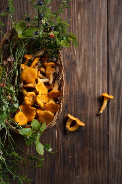 Coleta de cogumelos chanterelle em fundo de madeira. Coleta de cogumelos e preparação de alimentos. Chanterelle na cesta . — Fotografia de Stock