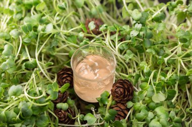 Rusya'nın Kuzey halkların otantik içki. Alkollü içecek. Orman meyveleri tentür. Yeşil bir arka plan bir cam çim üzerinde alkollü içki.