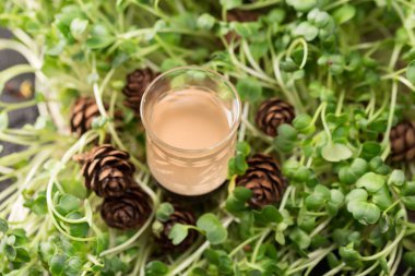 Rusya'nın Kuzey halkların otantik içki. Alkollü içecek. Orman meyveleri tentür. Yeşil bir arka plan bir cam çim üzerinde alkollü içki.