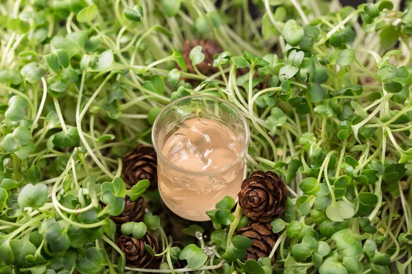 Rusya'nın Kuzey halkların otantik içki. Alkollü içecek. Orman meyveleri tentür. Yeşil bir arka plan bir cam çim üzerinde alkollü içki.