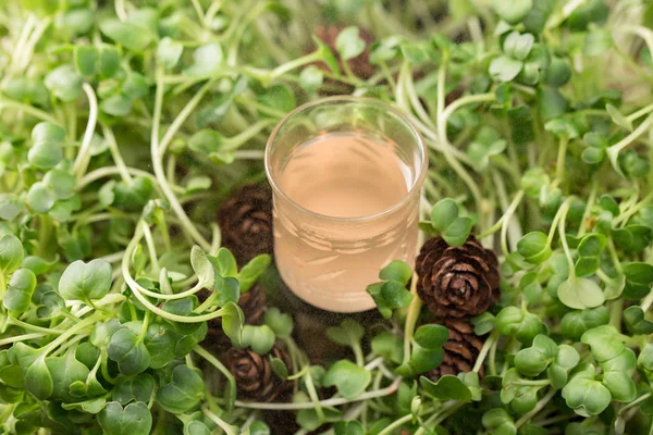 Rusya'nın Kuzey halkların otantik içki. Alkollü içecek. Orman meyveleri tentür. Yeşil bir arka plan bir cam çim üzerinde alkollü içki.