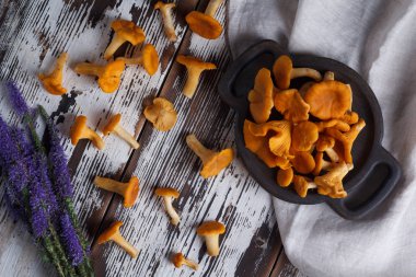 Ahşap arka plan üzerinde taze mantar Cantharellus cibarius.