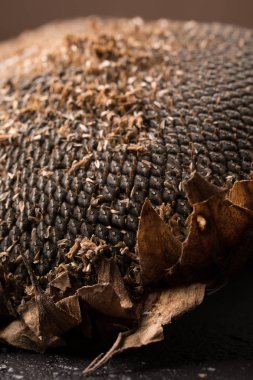 Ayçiçeği tohumu doku. Siyah ayçiçeği tohumu, organik arka plan.