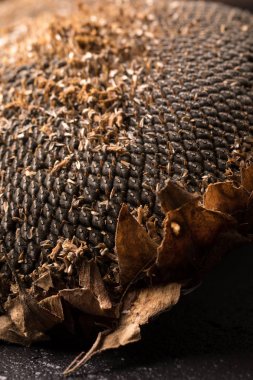 Ayçiçeği tohumu doku. Siyah ayçiçeği tohumu, organik arka plan.