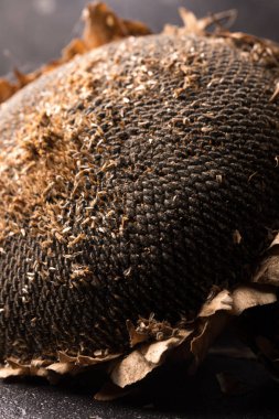 Ayçiçeği tohumu doku. Siyah ayçiçeği tohumu, organik arka plan.