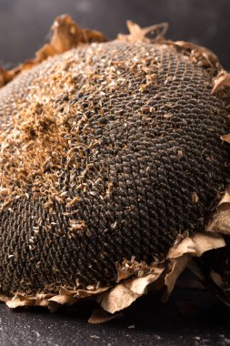 Ayçiçeği tohumu doku. Siyah ayçiçeği tohumu, organik arka plan.