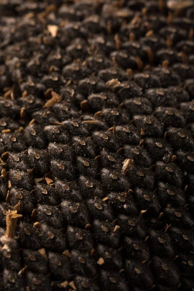 Ayçiçeği tohumu doku. Siyah ayçiçeği tohumu, organik arka plan.