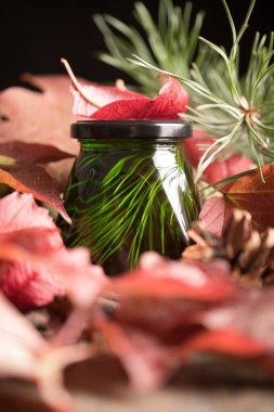 sonbahar parlak yeşillik bir arka plan üzerinde olağandışı yeşil tatlım. taze lezzetli sedir tıbbi bal.