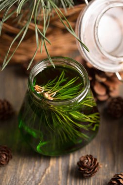 Sedir kozalakları basit ahşap arka plan üzerinde bir kurullarında bir kavanoza sedir tatlım