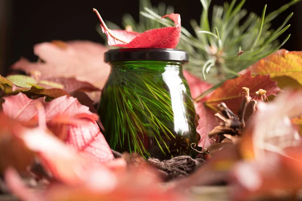 sonbahar parlak yeşillik bir arka plan üzerinde olağandışı yeşil tatlım. taze lezzetli sedir tıbbi bal.