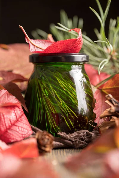 sonbahar parlak yeşillik bir arka plan üzerinde olağandışı yeşil tatlım. taze lezzetli sedir tıbbi bal.