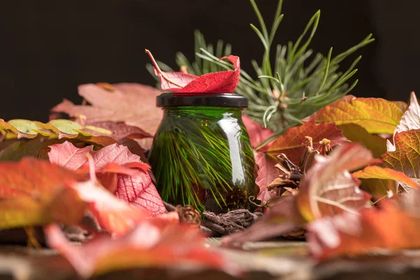 Miele verde insolito su uno sfondo di fogliame lucente di autunno. fresco delizioso miele medicinale di cedro . — Foto Stock