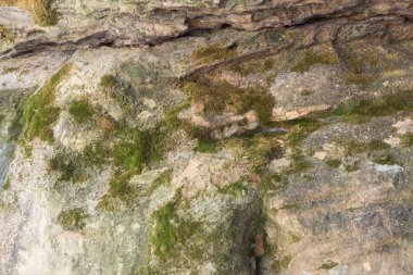 Kaya dokusu. Dağ duvarının dokusu. Dağ Rölyef.