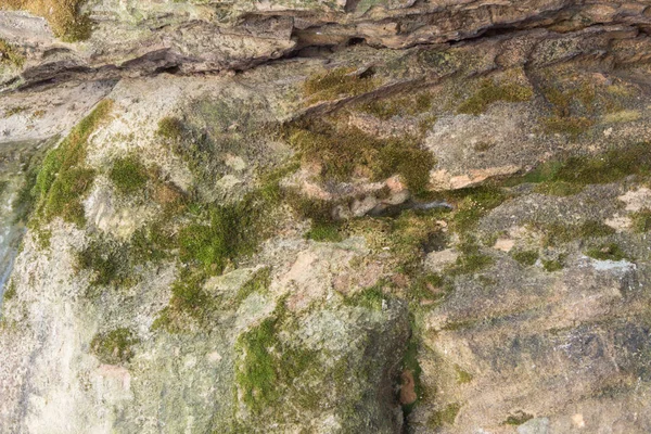 Kaya dokusu. Dağ duvarının dokusu. Dağ Rölyef.