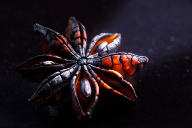 Bir arka plan siyah yakın çekim yıldız anason.