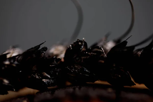 Épillets de blé brûlés sur une coupe de bois . — Photo