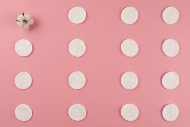 Renkli arka planda beyaz pamuk çiçekleri. Doğal eczane, doğal kozmetik. Uzayı kopyala Düz kat. Pastel gölgeler..