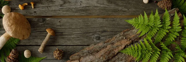 Funghi su sfondo vecchio di legno. Scheda in autunno o in estate. Raccolta forestale. Boletus, finferli, foglie, bacche. Vista dall'alto. Piatto. Bandiera . — Foto Stock