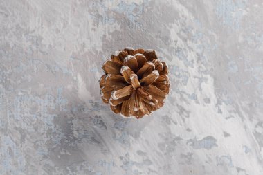 Gri arka planda sedir kozalakları. Yeni yıl için dekorasyon.