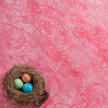 Kuşun yuvasında paskalya yumurtaları. Paskalya kutlaması. Uzayı kopyala Düz yatıyordu.