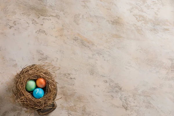 Easter eggs in a bird\'s nest on a textural background. Easter celebration concept. Copy space. Flat lay