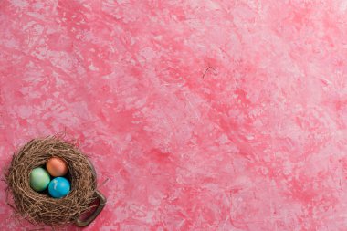 Kuşun yuvasında paskalya yumurtaları. Paskalya kutlaması. Uzayı kopyala Düz yatıyordu